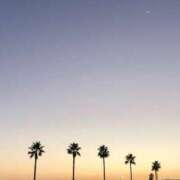 ヒメ日記 2025/12/02 18:55 投稿 るなん 奥様特急上越店