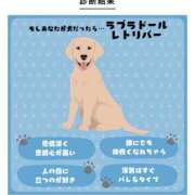 ヒメ日記 2026/03/20 17:35 投稿 るなん 奥様特急上越店