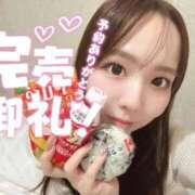 ゆり ❣️完売御礼❣️ BLUE BIRD (ブルーバード) 上越