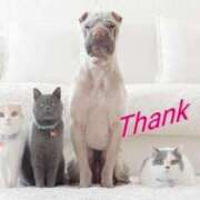 なつみ 11月月末の御礼になります(*ov.v)o 熟女の風俗最終章 錦糸町店