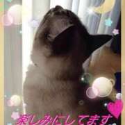 ヒメ日記 2026/01/27 16:45 投稿 なつみ 熟女の風俗最終章 錦糸町店