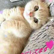 ヒメ日記 2026/03/18 18:41 投稿 なつみ 熟女の風俗最終章 錦糸町店