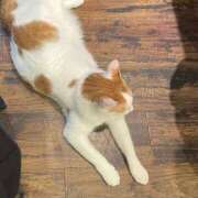 ヒメ日記 2025/08/21 01:21 投稿 福原ゆず 洗体アカスリとHなスパのお店