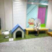 りぼん りぼん＠元さくら（スピード日本橋店） スピード日本橋店