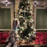 ヒメ日記 2025/12/09 19:37 投稿 りぼん スピード日本橋店