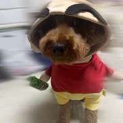 ヒメ日記 2025/12/17 20:07 投稿 りぼん スピード日本橋店