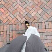 ヒメ日記 2025/11/14 20:02 投稿 芽久莉/めぐり 五反田アネージュ（ユメオト）