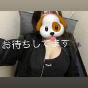 ヒメ日記 2026/03/01 16:33 投稿 芽久莉/めぐり 五反田アネージュ（ユメオト）