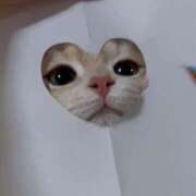 ヒメ日記 2025/09/08 00:42 投稿 かんな カクテル(岡山)