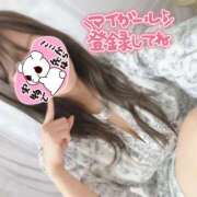 ヒメ日記 2025/12/15 09:53 投稿 サリナ 煌-kirameki-