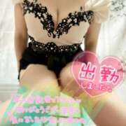 ヒメ日記 2026/02/19 13:57 投稿 サリナ 煌-kirameki-