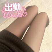 ヒメ日記 2026/03/03 09:54 投稿 サリナ 煌-kirameki-