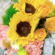 ヒメ日記 2025/08/23 22:18 投稿 Marie Yoshikawa ELEGANT－エレガント－