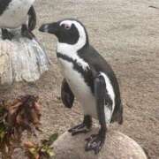 ヒメ日記 2025/09/01 16:52 投稿 Marie Yoshikawa ELEGANT－エレガント－