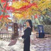 Marie Yoshikawa なんだか ELEGANT－エレガント－