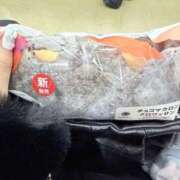 ヒメ日記 2025/10/30 12:23 投稿 ゆめ 府中ダービー