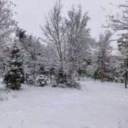 ヒメ日記 2026/02/08 10:54 投稿 みらい 西川口おかあさん