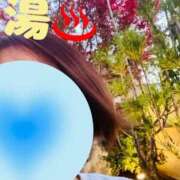 ヒメ日記 2025/12/12 17:18 投稿 梓咲(あずさ) PLUS十三店