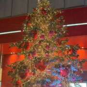 ヒメ日記 2025/12/25 14:38 投稿 梓咲(あずさ) PLUS十三店