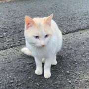 ヒメ日記 2026/01/06 21:38 投稿 梓咲(あずさ) PLUS十三店