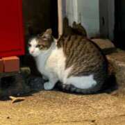 ヒメ日記 2026/01/13 22:08 投稿 梓咲(あずさ) PLUS十三店