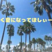 ヒメ日記 2026/03/28 13:04 投稿 梓咲(あずさ) PLUS十三店