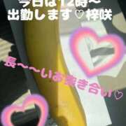 ヒメ日記 2026/03/29 05:18 投稿 梓咲(あずさ) PLUS十三店