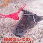 ヒメ日記 2026/04/07 12:20 投稿 梓咲(あずさ) PLUS十三店