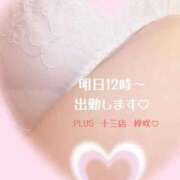 ヒメ日記 2026/07/04 19:08 投稿 梓咲(あずさ) PLUS十三店