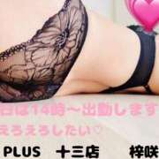 ヒメ日記 2026/07/13 10:28 投稿 梓咲(あずさ) PLUS十三店