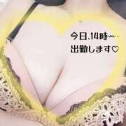 ヒメ日記 2026/07/20 13:48 投稿 梓咲(あずさ) PLUS十三店