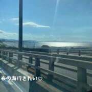 ヒメ日記 2026/09/02 14:29 投稿 梓咲(あずさ) PLUS十三店