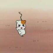 ヒメ日記 2026/03/13 12:14 投稿 夢島かこ HYPER TOKYO