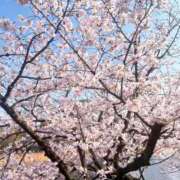 ヒメ日記 2026/03/29 22:44 投稿 夢島かこ HYPER TOKYO