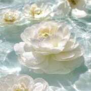 ヒメ日記 2025/08/27 07:49 投稿 わか CELEB FACE FUKUOKA