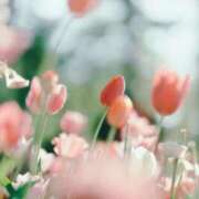 ヒメ日記 2026/04/09 13:09 投稿 わか CELEB FACE FUKUOKA