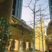 ヒメ日記 2025/12/13 18:50 投稿 麗子 極楽園