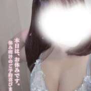 カレン ♡ふわふわ♡ ちゃんこ本厚木店