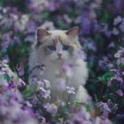 ナルミ いますー ドMな奥様 大阪本店