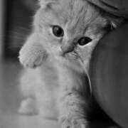 ナルミ います！ ドMな奥様 大阪本店