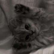 ヒメ日記 2025/09/17 08:48 投稿 まお 大久保ハンドメイド