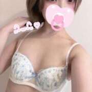 ヒメ日記 2025/08/15 10:01 投稿 モカ ピカソ