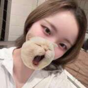 ヒメ日記 2025/08/16 10:01 投稿 モカ ピカソ