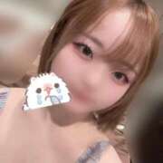 ヒメ日記 2025/11/26 11:13 投稿 モカ ピカソ