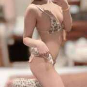 ヒメ日記 2025/12/27 21:53 投稿 モカ ピカソ