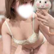 ヒメ日記 2025/12/28 09:28 投稿 モカ ピカソ