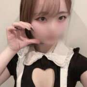 ヒメ日記 2026/01/20 12:01 投稿 モカ ピカソ