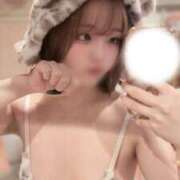 ヒメ日記 2026/01/27 09:15 投稿 モカ ピカソ