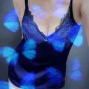 ヒメ日記 2025/12/14 16:12 投稿 みさと 奥様メモリアル