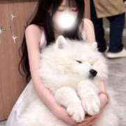 ヒメ日記 2026/03/19 15:45 投稿 中島みう JKリフレ東京 秋葉原本店